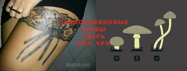 мдпв Куйбышев