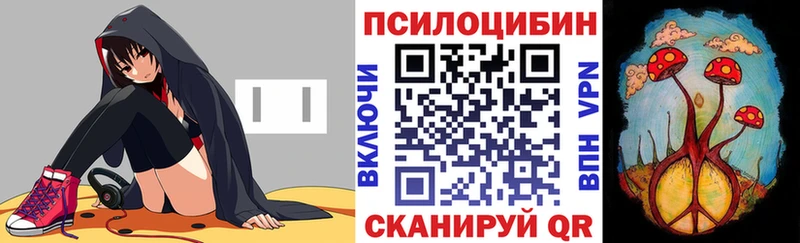Купить  Ртищево  Псилоцибиновые грибы Cubensis 